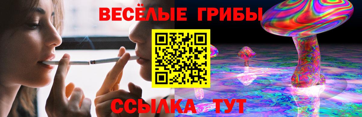 Псилоцибиновые грибы Psilocybine cubensis Красный Сулин