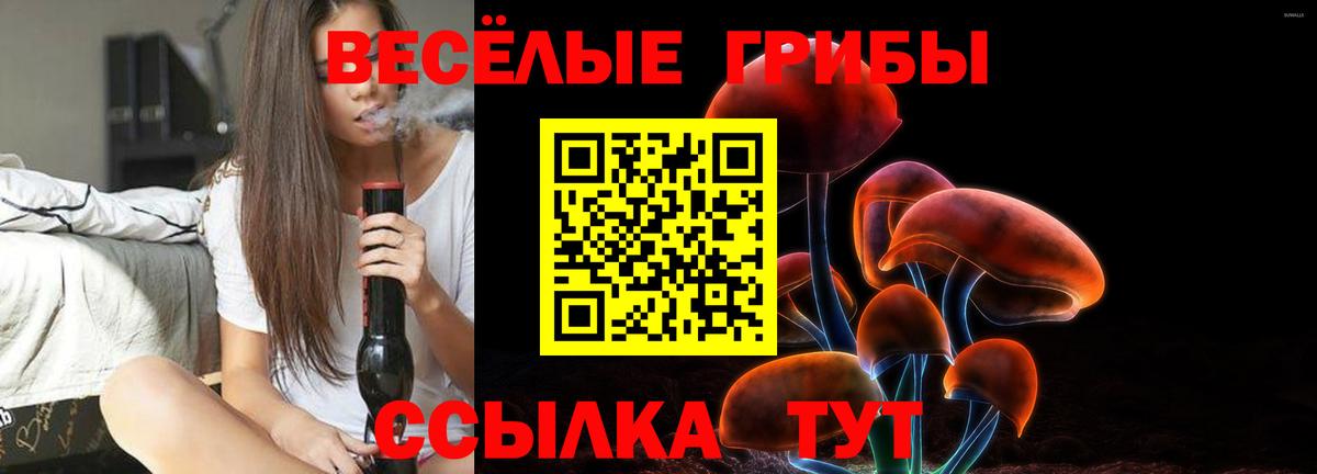 Галлюциногенные грибы GOLDEN TEACHER  Вход с VPN  Красный Сулин 